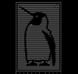penguin by hube