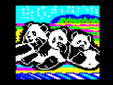 Pandas by Jellica Jake